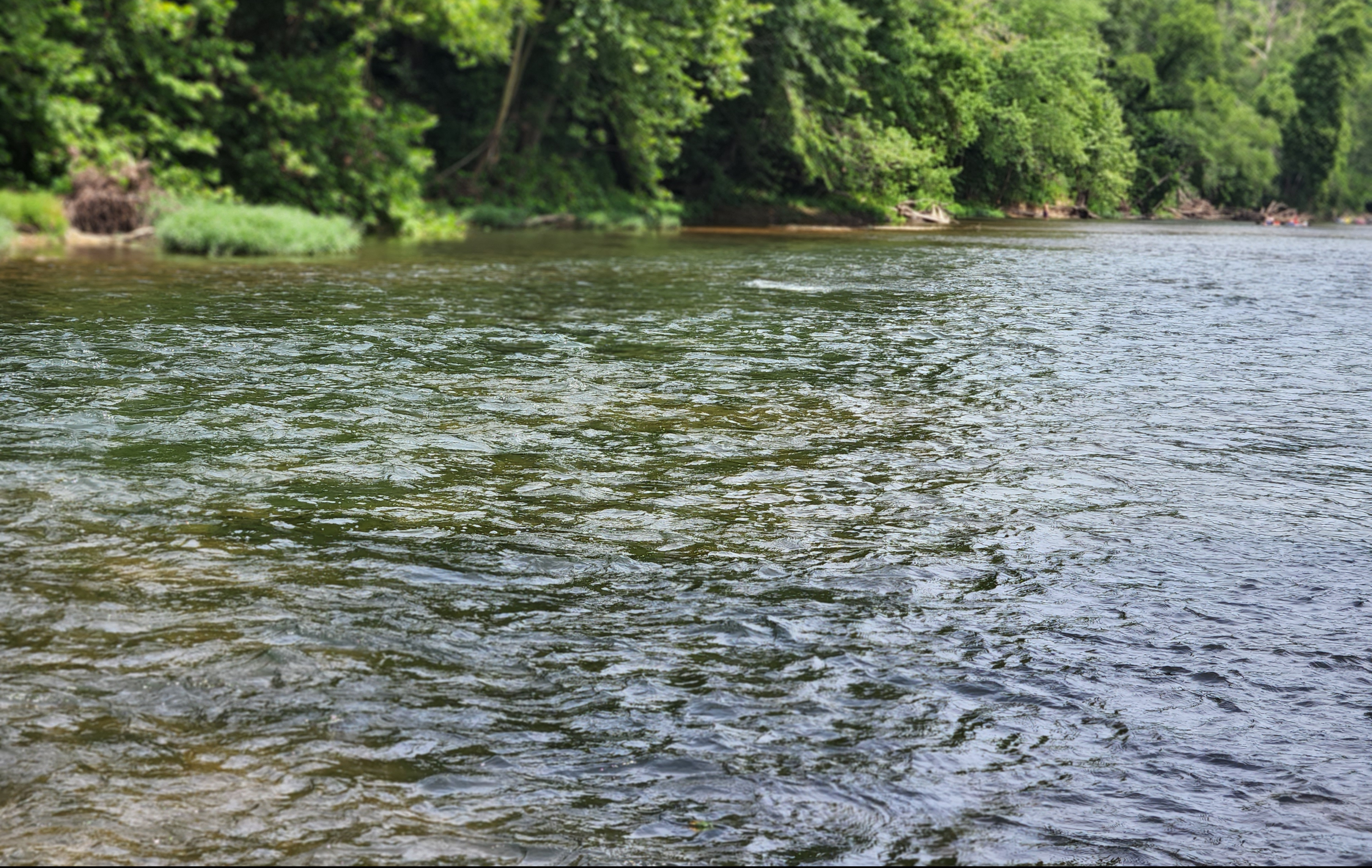 guiding-on-a-missouri-trout-fishing-stream
